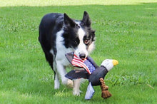 Load image into Gallery viewer, Dog Squeaky Toys Bird Eagle Chew Puppy Fluffy Rope Toy Durable Teeth Grindin PET
