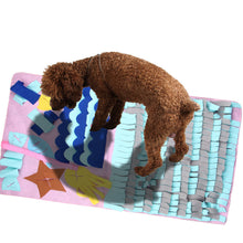 Load image into Gallery viewer, Dog Snuffle Foraging Feeding Slow Eat Mat Treat Puzzle Enrichment Toy Puppy Pet
