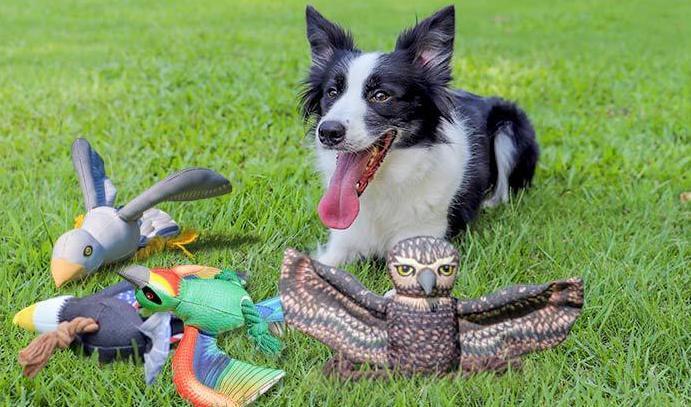 HGB Squeaky Plush Dog Toys, Tricolor Cotton Rope Bird Dog Chew